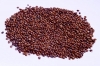 RK Seeds Hedge Lucerne Seeds - Fodder grass seeds , Velimasal Seeds , Grass seeds (Desmanthus virgatus seeds) Grass seeds  for cattle, Fodder seeds, 
