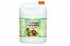 Humigreen Humic Acids 18%, Extremely Important As a Medium For Transporting Nutrients From The Soil to the Plant.