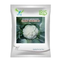 Iris Early Express-09 F1 Hybrid Cauliflower Seeds, Early Maturity, Heat And Rain Tolerant Variety