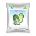Iris CC 150 F1 Hybrid Chinese Cabbage Seeds, Bright Green, Heavy Heads And Long Field Holding