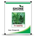 Okra Seeds of Shine Brand Seeds of Shine Brand Seeds