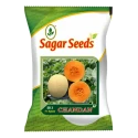 Sagar Chandan F1 Muskmelon Seeds, Buff Yellow Skin, Green Stripe, Rich Aroma, High Yield