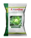 Excellar KEMBUKAM F1 Cabbage Hybrid Seeds, High Yielding, Disease Resistant, And Fast Growing Cabbage Seed