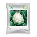 Iris IHS-702 F1 Hybrid Cauliflower Seeds, High Yield, Disease Tolerant And Self Curving Variety