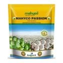 Cotton seeds of MAHYCO (Maharastra Hybrid of MAHYCO (Maharastra Hybrid