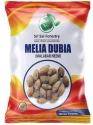 SRI SAI FORESTRY - Melia Dubia Seeds, Malabar Neem Seeds, Fast Growing Tree