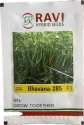 Ravi Seed F1 Hybrid Bhavana 285 Chilli Seed, Thin And Medium Fruit Shape, Red Color Fruit of Mature Time