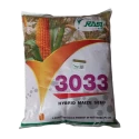 Hybrid Maize Seeds of Rasi Seeds Pvt. of Rasi Seeds Pvt.