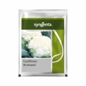 Syngenta F1 Hybrid Shuhasini Cauliflower Vegetable Seed, Dome Shaped Compact White Curd (2000 Seeds)