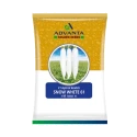 Advanta Snow White 61 F1 Hybrid Radish Seeds, Smooth Palak Like Leaves And Early Maturity