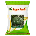 Sagar Seeds Karna F1 Hybrid Pumpkin Seeds, Attractive Green Color Fruits, High Yielding Variety