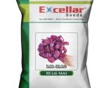 Excellar EX LAL SAAG Spinach Seeds, Ideal For Summer, Rainy, and Early Winter Seasons