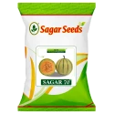 Sagar 70 F1 Hybrid Muskmelon Seeds, High TSS, Fusarium Wilt Resistant, Yellow Skinned With Green Stripes