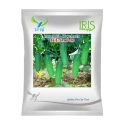 Iris Jeenat F1 Hybrid Cucumber Seeds, Early Maturing Green Variety For All Year Cultivation