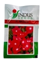 Indus Seeds Vinca Flamingo Flower Seed, Well Suited For Pots And Beds, Cherry Red Color Flower