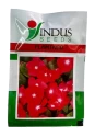 Flower Seeds of Indus Seeds of Indus Seeds
