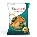 Sagar Crysta F1 Hybrid Muskmelon Seeds, Yellow Skin, Green Stripes, High Yield, Orange Crimson Flesh