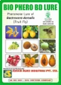 Bactrocera dorsalis Fruit Fly Trap & Lure of Sonkul Agro Industries of Sonkul Agro Industries