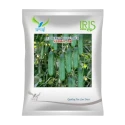Iris Surya-101 F1 Hybrid Cucumber Seeds, High Yield, Gemini Virus Tolerant, Vigorous Growth