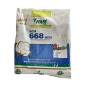 Rasi RCH-668 BG II Hybrid Cotton Seeds, Early to Medium Maturity Variety With Chain Bearing & Pest Tolerance (475 Gm)