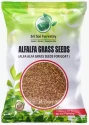 Hedge Lucerne Seeds of Sri Sai Forestry of Sri Sai Forestry