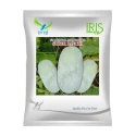 Iris Super Panchi F1 Hybrid Ash Gourd Seeds, Long Green Fruits With Early Maturity