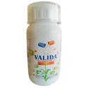 Sumitomo Valida Validamycin 3% L Fungicide, Enhanced Plant Health and Disease Management