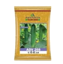 Cucumber Hybrid Seeds of Advanta Golden Seeds of Advanta Golden Seeds