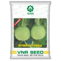 VNR F1 Hybrid Tinda Round Melon Seeds, High Yield, Early Maturity, Light Green Round Fruits