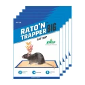 Mouse Glue Trap, Raton n Trapper Can be used for Home, Warehouse, Agriculture, Factory, False Ceiling. Ready to use product.