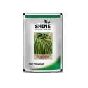 Bush Bean Vikram - Shine Brand Seeds, Vegetable Seeds, Excellent Germination Quality