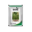 Bush Bean Seeds of Shine Brand Seeds of Shine Brand Seeds