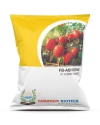 Tomato Hybrid Seeds of Farmson Biotech Pvt of Farmson Biotech Pvt