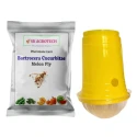 SK Agrotech Bactrocera Cucurbitae Melon Fly Pheromone Trap With Lure For Vegetables