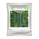 Iris Pathaan F1 Hybrid Cucumber Seeds, Dark Green, High Yield Variety And Uniform Size