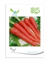Iris Hybrid Carrot Vegetable Seeds, Excellent Germination, Used For Indoor And Outdoor Gardening