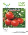 Tomato Hybrid Seeds of Iris Hybrid Pvt. of Iris Hybrid Pvt.
