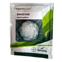 Seminis SV4051AC Hybrid Cauliflower Seeds, Compact Curd, Early Maturity And High Yield