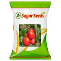 Sagar Shiva F1 Hybrid Tomato Seeds, High Yield, TOCLV Resistance, Glossy Red Fruits