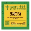 Biowall Mohini Fruit Fly Bactrocera Dorsalis, Pheromone Lure For Effective Pest Management