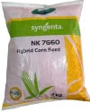 Sweet Corn Seeds of Syngenta India of Syngenta India