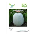 Iris Pushpa F1 Hybrid Ash Gourd Seeds, Square-Round Fruits With Long Shelf Life And Transportability