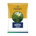 Advanta F1 Hybrid Navya Bhindi Seeds, Medium Tall and Round the Year Variety