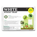 Green Revolution White Sticky Traps A5 Size, Recommended For Flower Thrips Or Black Thrips.