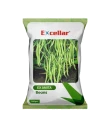 Excellar Ex Amita Falguni Beans Seed, Bushy And Strong Plant Type Producing Glossy Dark-Green Pods