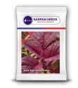 Amaranthus Seeds of Sarpan Seeds of Sarpan Seeds