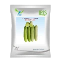 Iris Hercules F1 Hybrid Cucumber Seeds, Vigorous Light Green Variety And High Yield