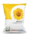 Sunflower Seeds of Farmson Biotech Pvt of Farmson Biotech Pvt