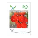Iris Guru F1 Hybrid Tomato Seeds, Oval Shape, Red Fruit, High Yield And TYLCV Tolerance