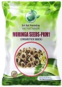 SRI SAI FORESTRY Natural Drumstick Seeds, Moringa Tree Seeds, Miracle Tree Seeds, Horseradish Tree Seed